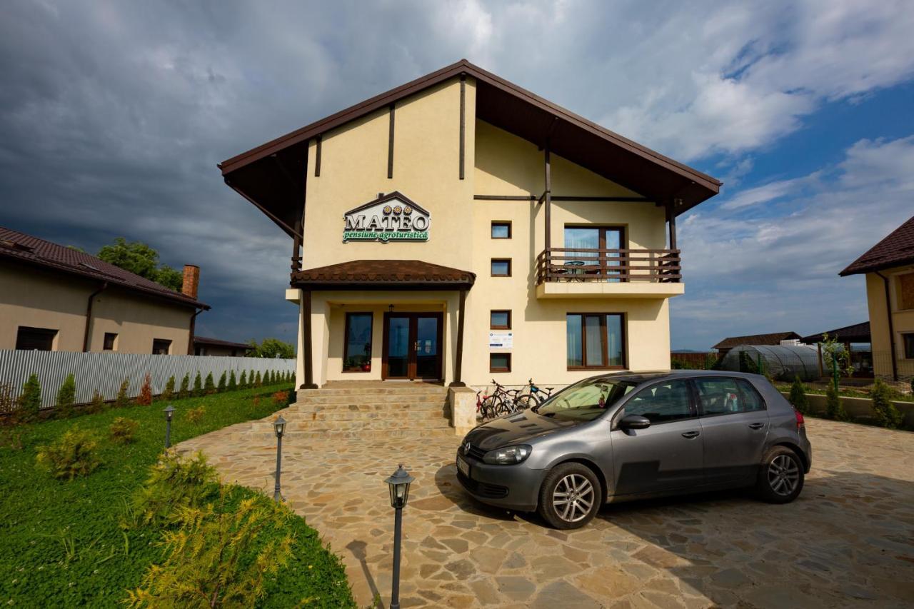 Hotel Pensiunea Mateo à Buzău Extérieur photo